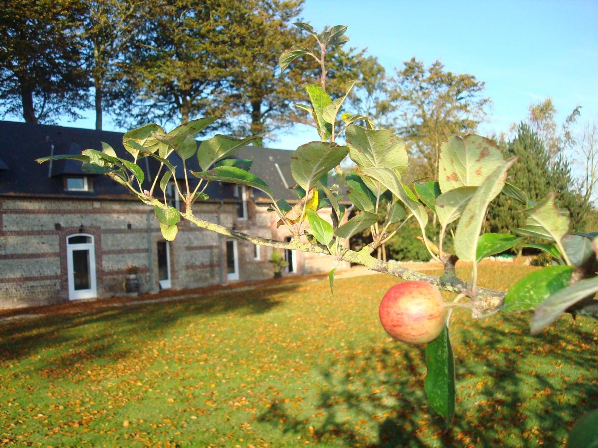 B&B Chambres D'Hotes Et Gite Clos Des Hogues Etretat Fecamp Saint-Leonard  Exterior photo